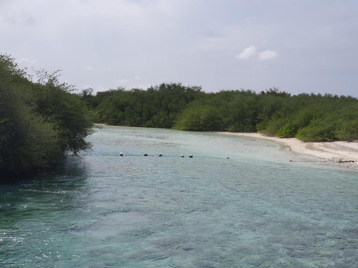 Hotel Orimas Retreat à Thulusdhoo Extérieur photo